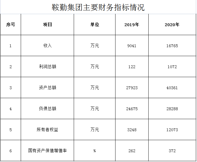 极悦娱乐集团2019年度-2020年度财务指标情况